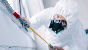 Best Commercial Pest Control  in California, PA